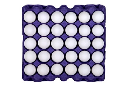 Huevo blanco 30 pz EP